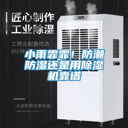 小雨霏霏！防潮防湿还是用除湿机靠谱