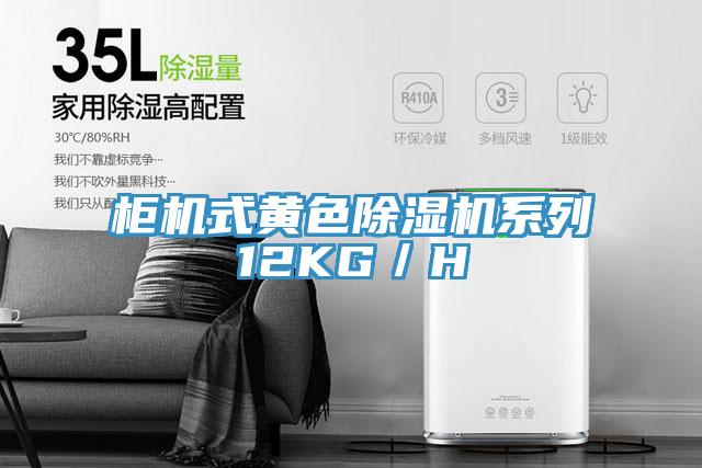 柜机式黄色除湿机系列12KG／H