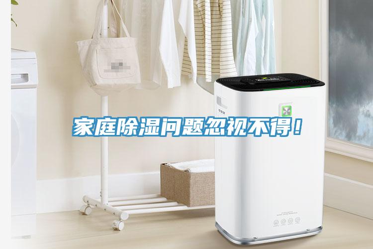 家庭除湿问题忽视不得！