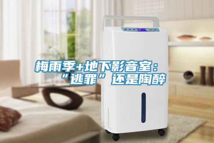 梅雨季+地下影音室：“逃罪”还是陶醉