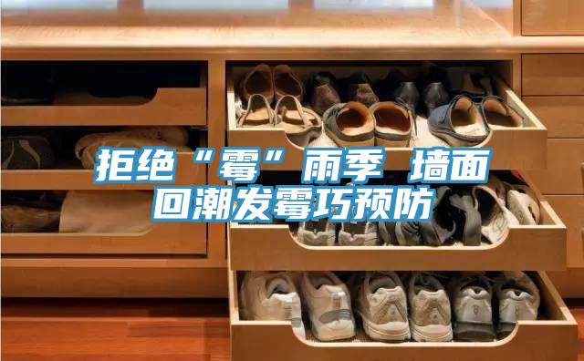 拒绝“霉”雨季 墙面回潮发霉巧预防