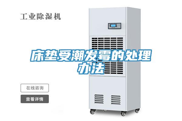 床垫受潮发霉的处理办法