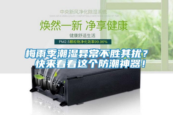 梅雨季潮湿异常不胜其扰？ 快来看看这个防潮神器！