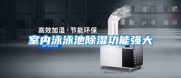 室内泳泳池除湿功能强大