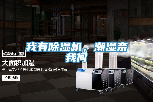 我有除湿机,潮湿奈我何