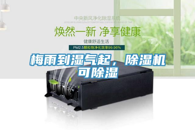 梅雨到湿气起，除湿机可除湿