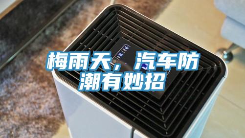 梅雨天，汽车防潮有妙招