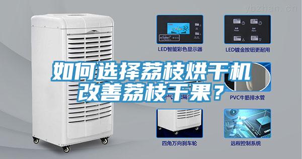 如何选择荔枝烘干机改善荔枝干果？