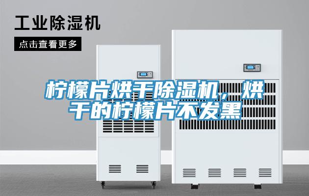 柠檬片烘干除湿机，烘干的柠檬片不发黑