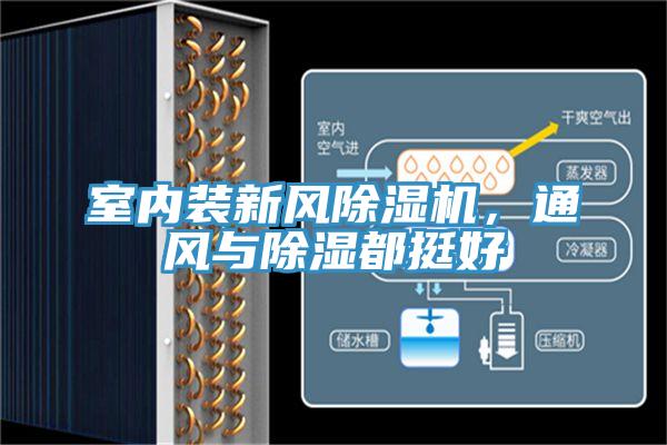 室内装新风除湿机,通风与除湿都挺好