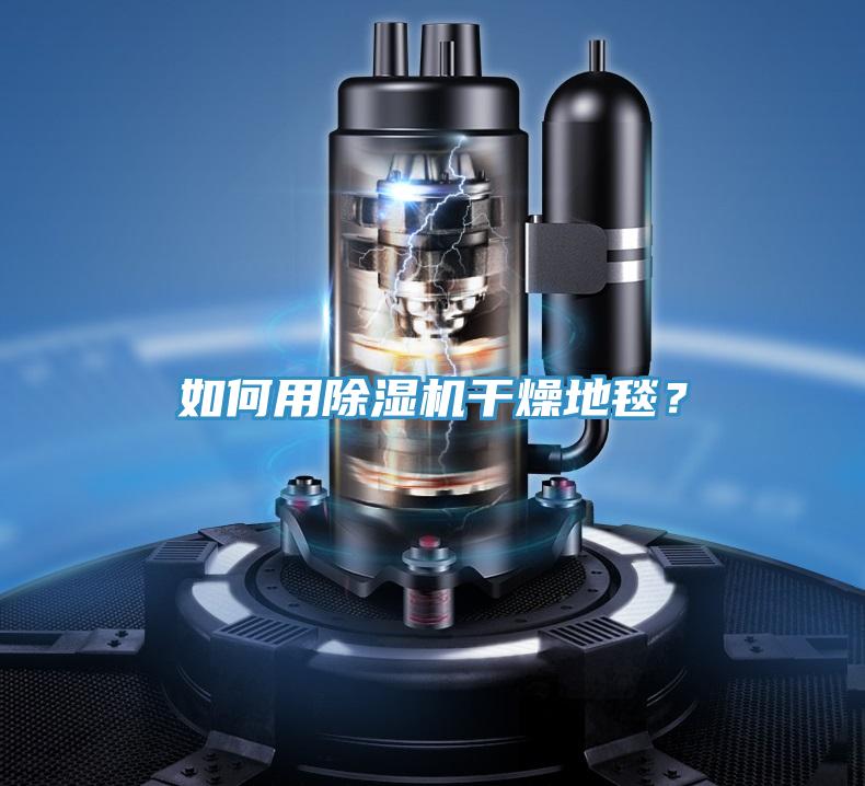 如何用除湿机干燥地毯?