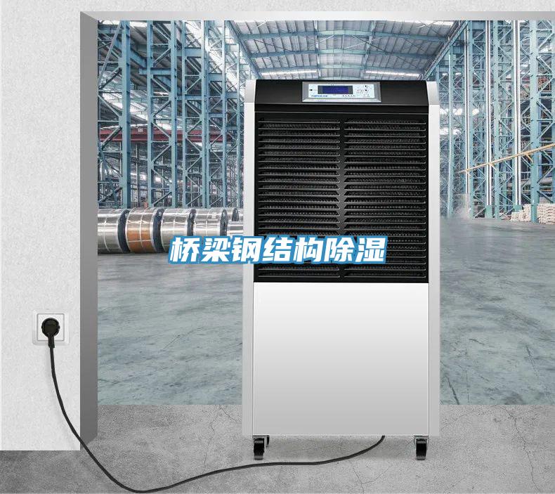 桥梁钢结构除湿