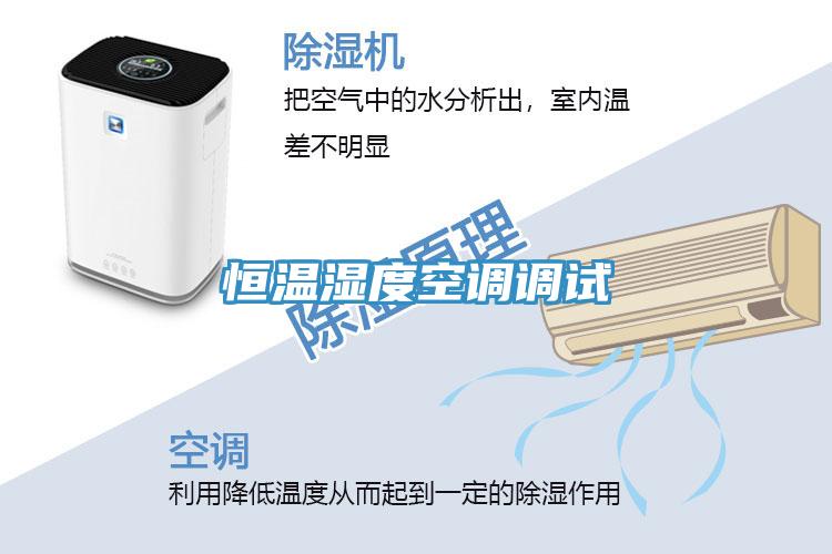 恒温湿度空调调试