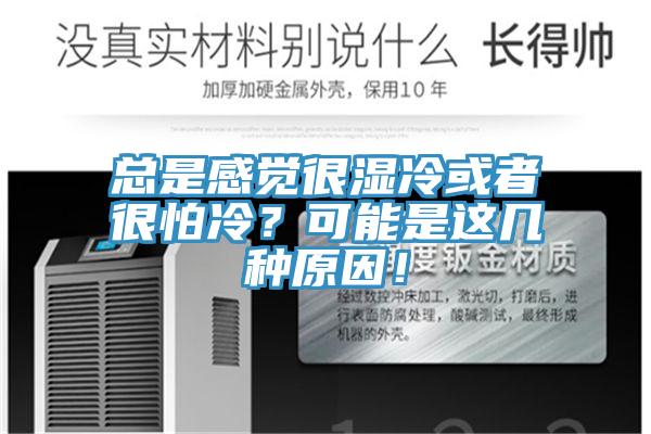 总是感觉很湿冷或者很怕冷?可能是这几种原因!