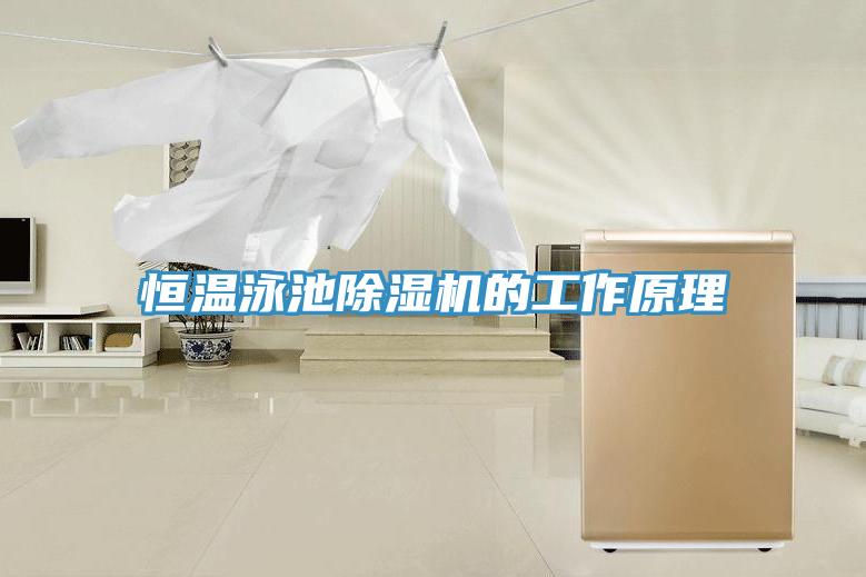 恒温泳池除湿机的工作原理
