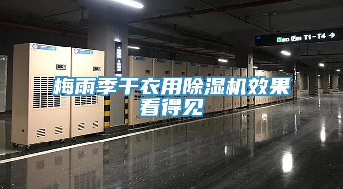梅雨季干衣用除湿机效果看得见
