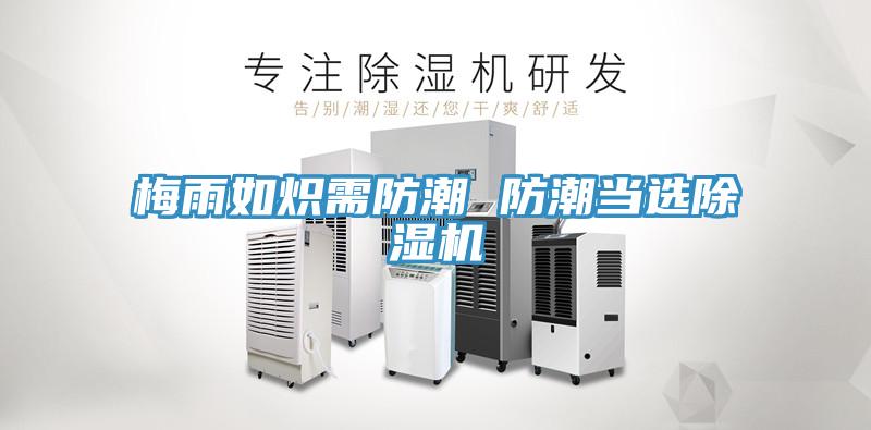梅雨如炽需防潮 防潮当选除湿机