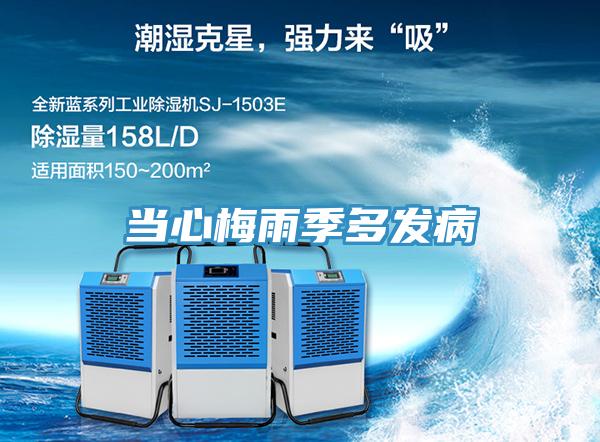 当心梅雨季多发病