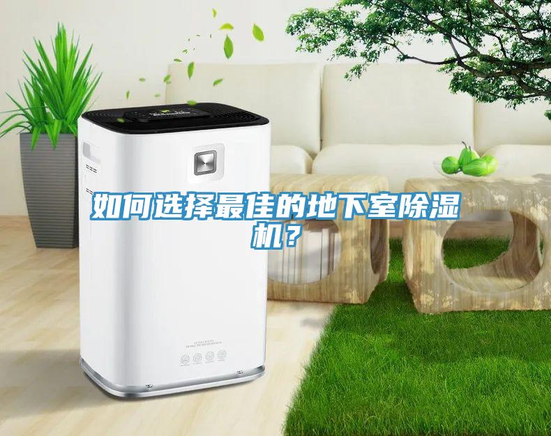 如何选择最佳的地下室除湿机？