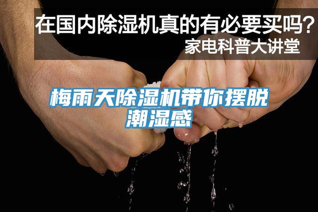 梅雨天除湿机带你摆脱潮湿感