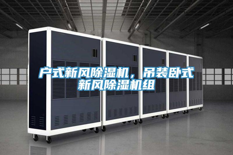 户式新风除湿机,吊装卧式新风除湿机组
