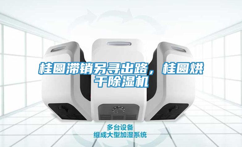 桂圆滞销另寻出路，桂圆烘干除湿机