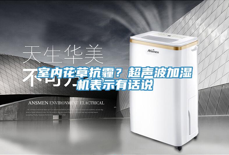 室内花草抗霾?超声波加湿机表示有话说