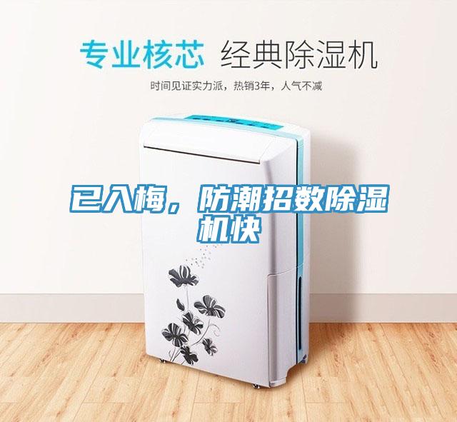 已入梅，防潮招数除湿机快