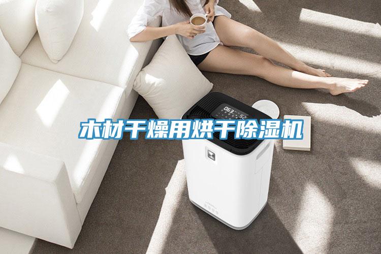 木材干燥用烘干除湿机