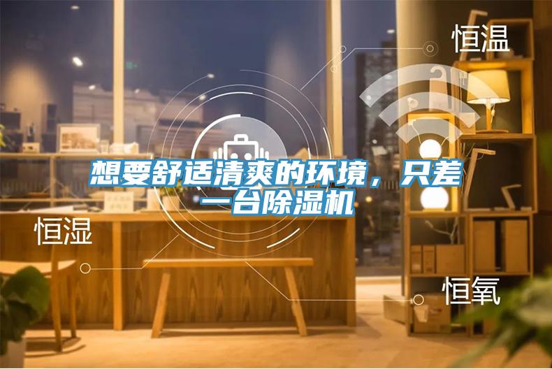 想要舒适清爽的环境，只差一台除湿机