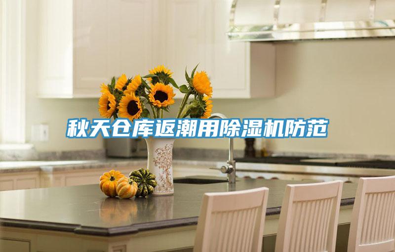 秋天仓库返潮用除湿机防范