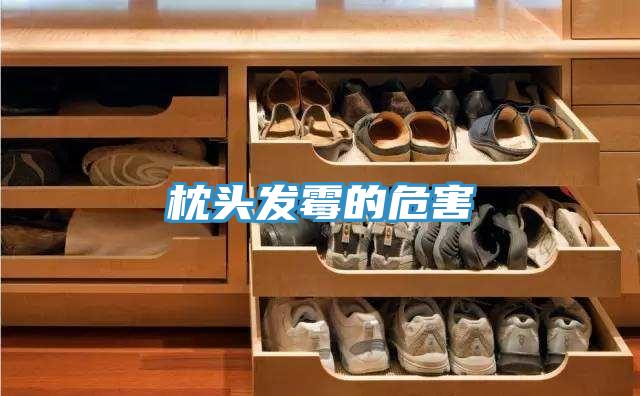 枕头发霉的危害