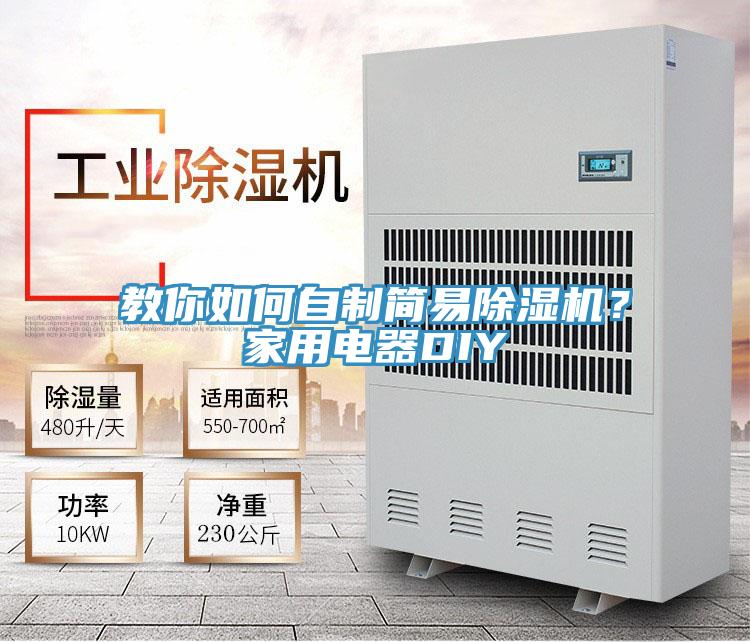 教你如何自制简易除湿机？家用电器DIY