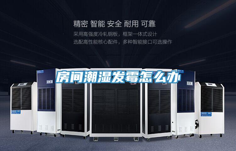 房间潮湿发霉怎么办