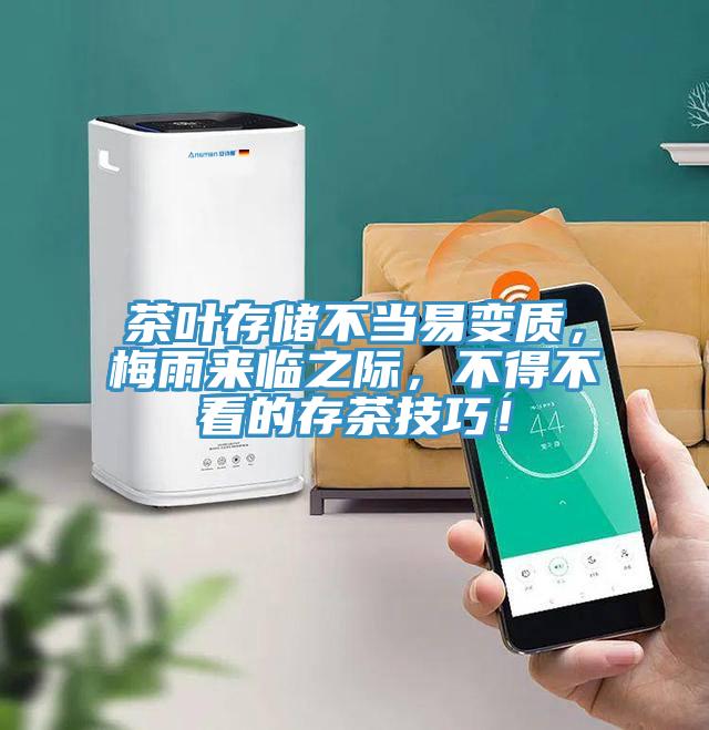 茶叶存储不当易变质,梅雨来临之际,不得不看的存茶技巧!