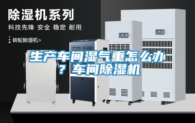 生产车间湿气重怎么办？车间除湿机