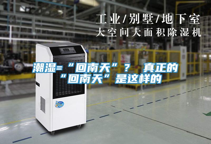 潮湿=“回南天”？ 真正的“回南天”是这样的