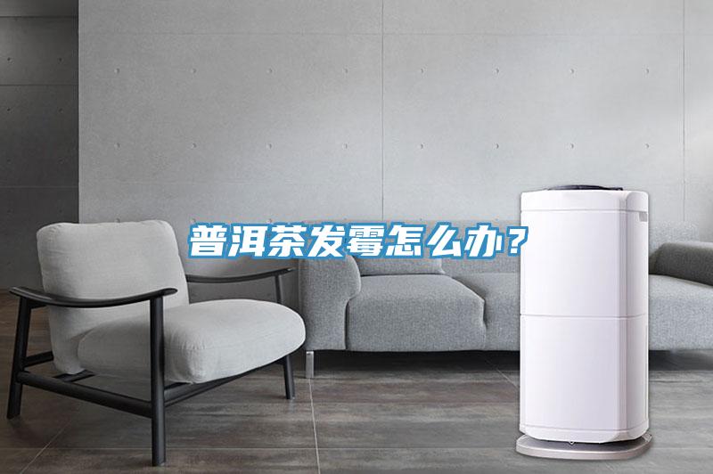 普洱茶发霉怎么办？