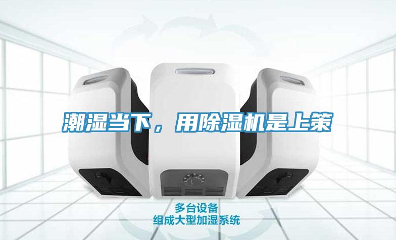 潮湿当下，用除湿机是上策