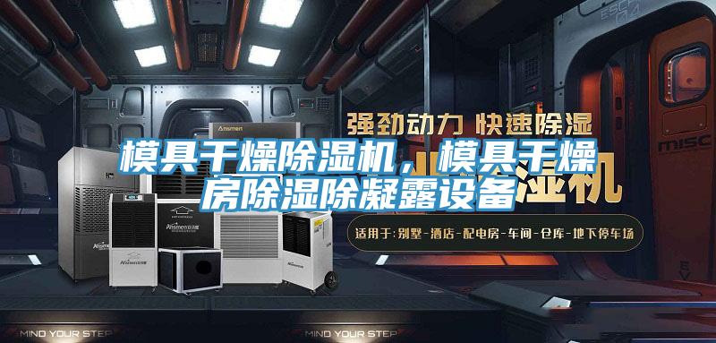 模具干燥除湿机，模具干燥房除湿除凝露设备