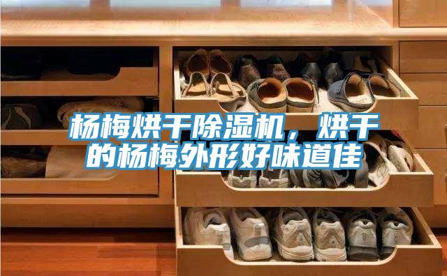 杨梅烘干除湿机，烘干的杨梅外形好味道佳