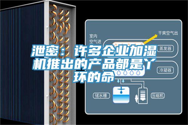 泄密:许多企业加湿机推出的产品都是丫环的命