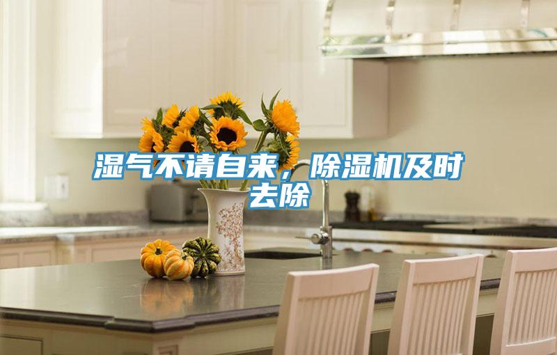 湿气不请自来，除湿机及时去除