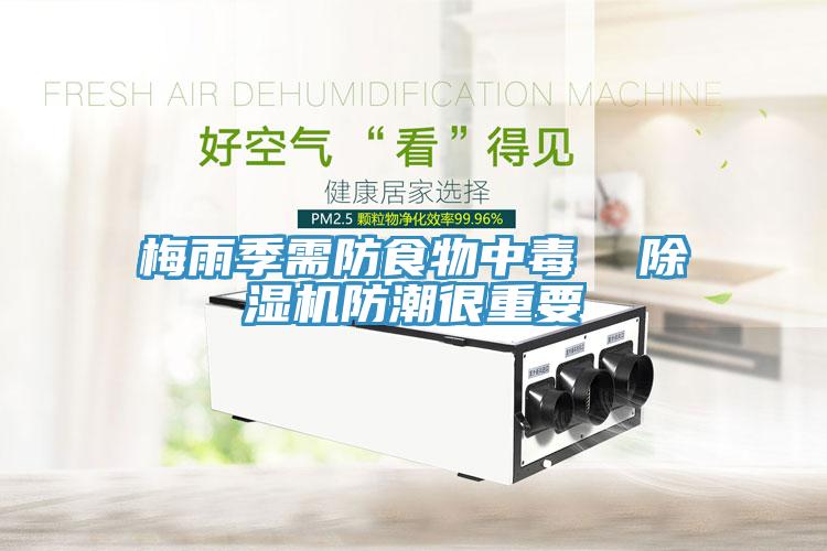 梅雨季需防食物中毒  除湿机防潮很重要