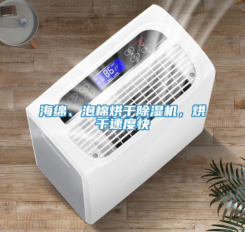 海绵、泡棉烘干除湿机，烘干速度快