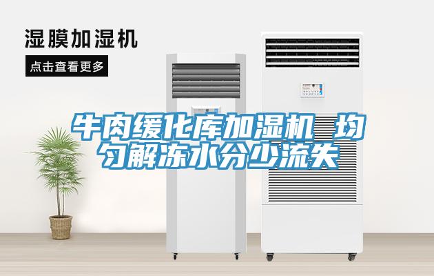 牛肉缓化库加湿机 均匀解冻水分少流失