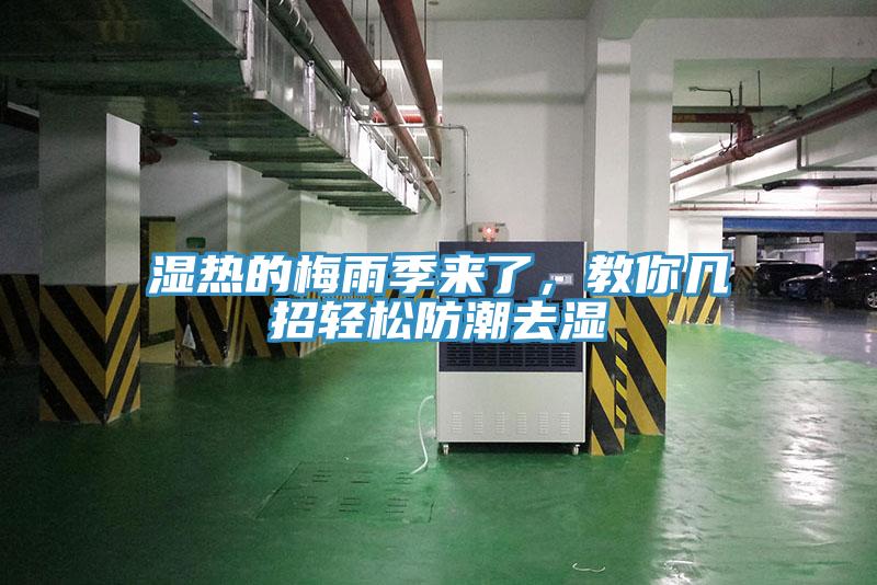 湿热的梅雨季来了，教你几招轻松防潮去湿