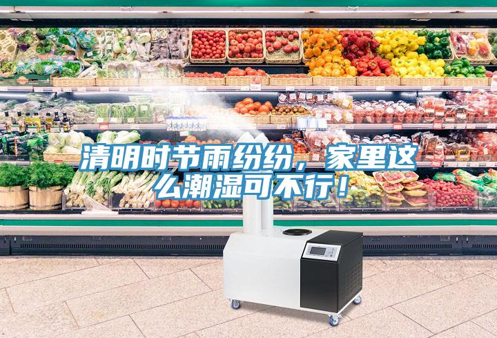 清明时节雨纷纷，家里这么潮湿可不行！