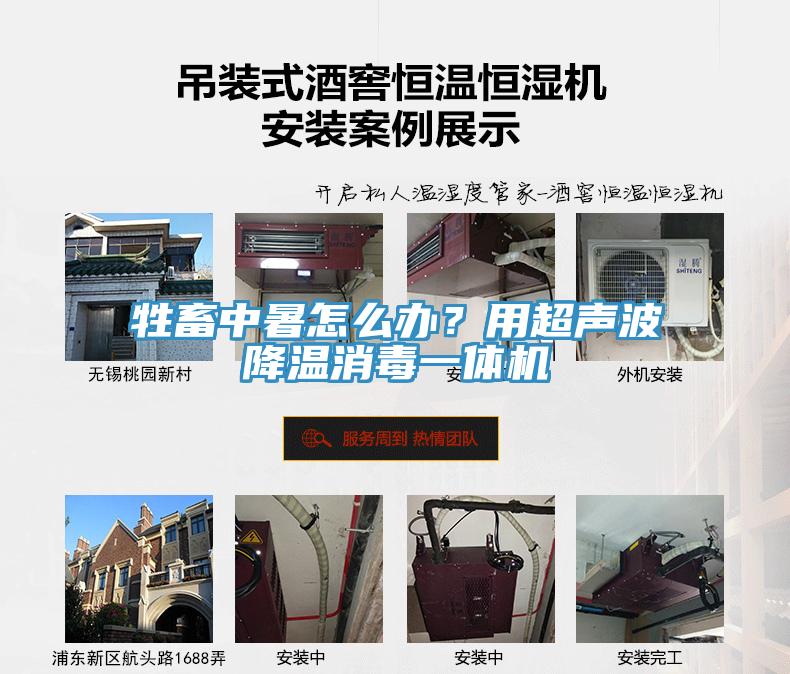 牲畜中暑怎么办？用超声波降温消毒一体机