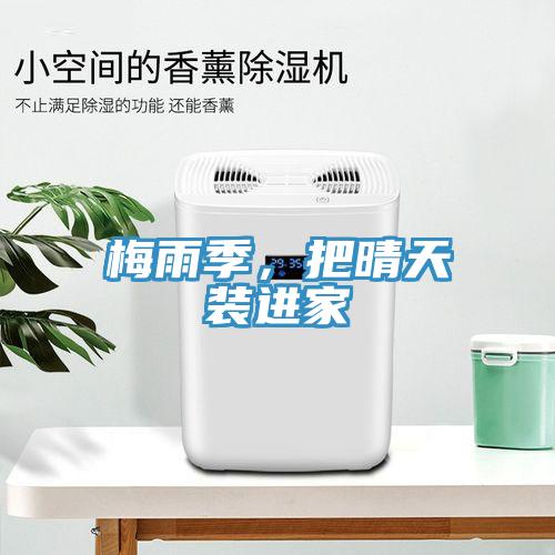 梅雨季，把晴天装进家